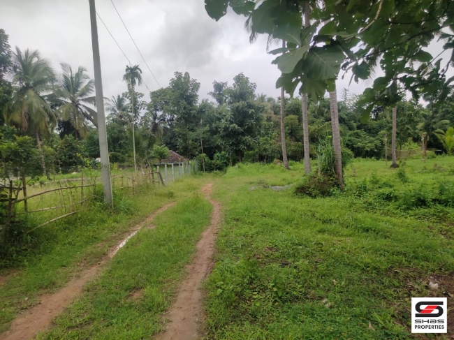 Plot for sale in Thenkurissi, Palakkad