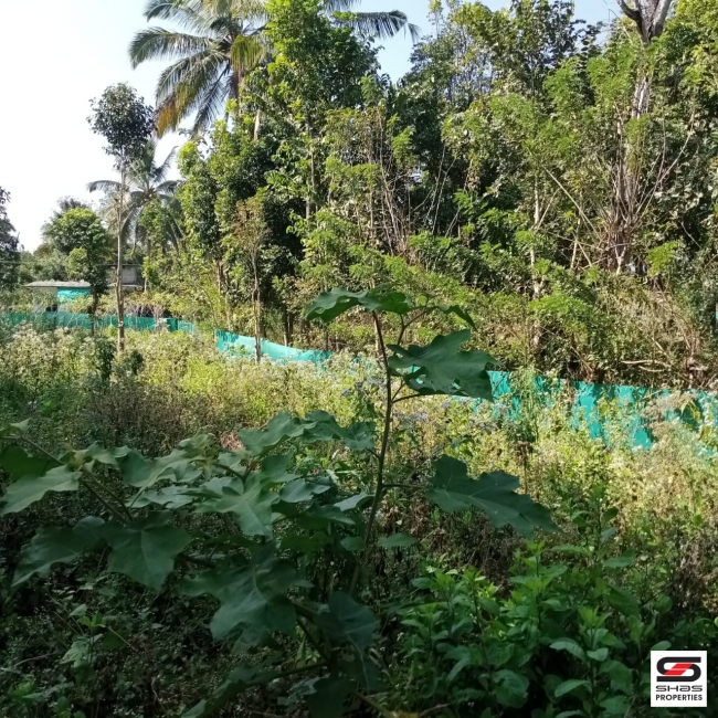 River view plot for sale at Pulpally, Wayanad