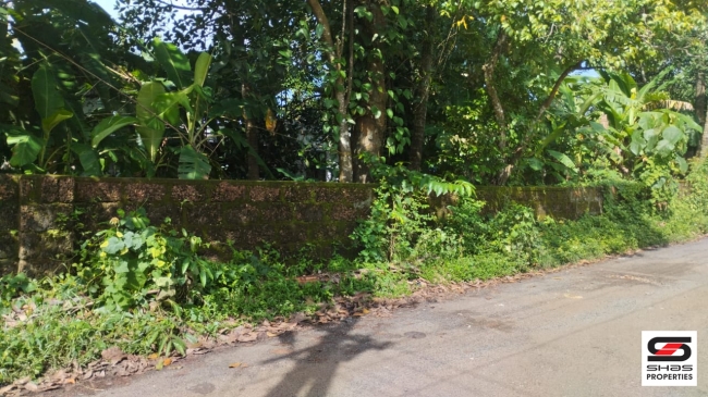 House plot for sale at Chala, Kannur