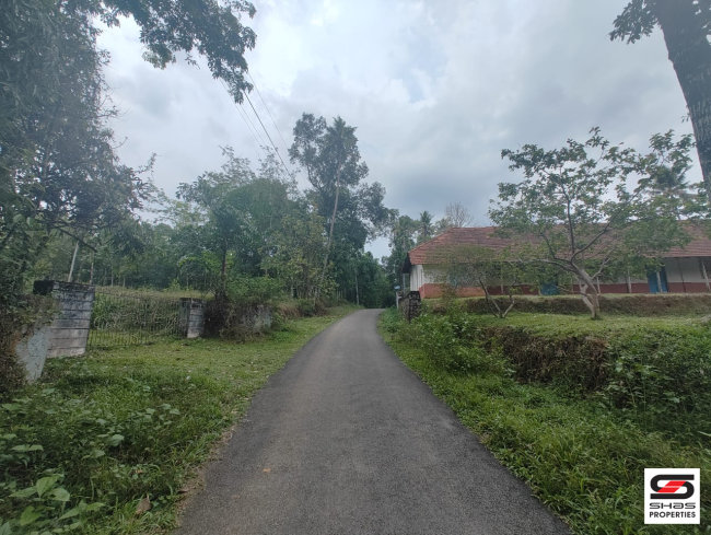 1 Acre plot for sale in Thodupuzha, Idukki