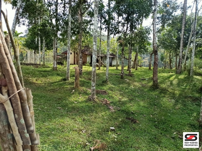 River view land for sale in Pulpally, Wayanad