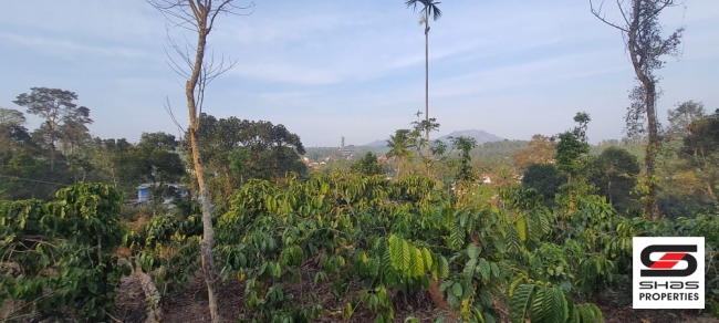 Land for sale near Vythiri, Wayanad