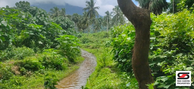 Resort land for sale near Malampuzha, Palakkad