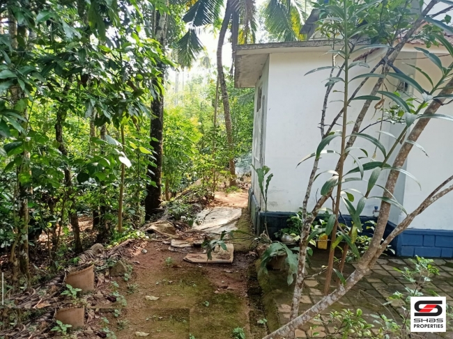 House for sale near Kenichira, Wayanad