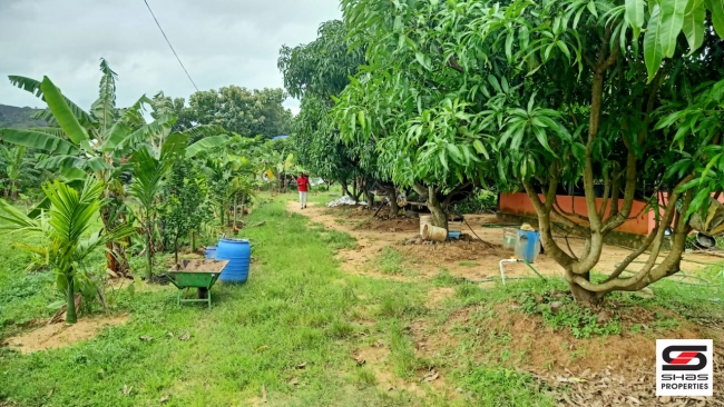 Farmland with farmhouse for sale at Pallassana, Palakkad