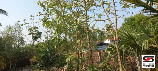 Farmland for sale in Eruthempathy, Palakkad