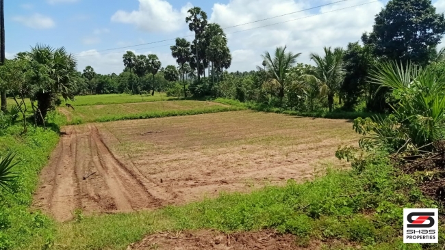 7 Acres land for sale in Velanthavalam, Palakkad