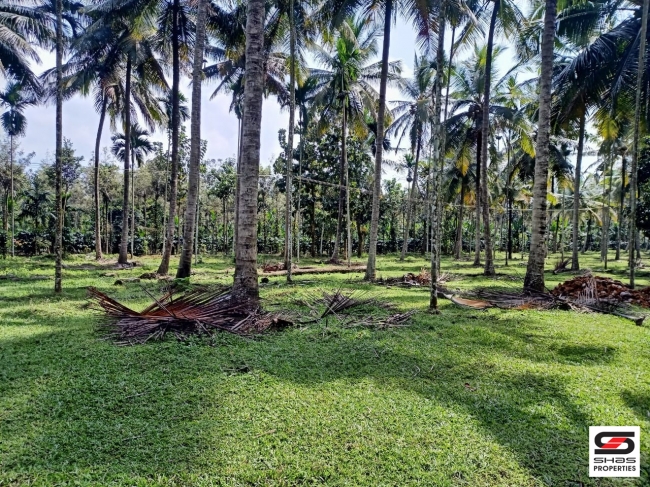Farmland for sale in Pulpally, Wayanad
