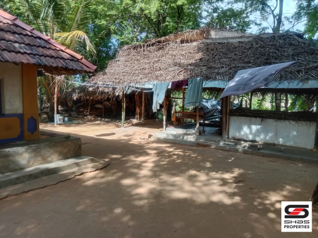 27 Cent house plot for sale In Pallassana, Palakkad