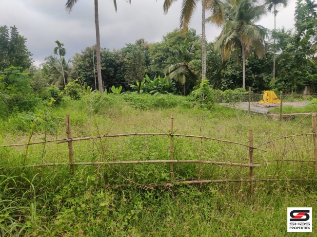 Plot for sale in Thenkurissi, Palakkad