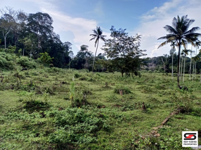 River view land for sale in Pulpally, Wayanad