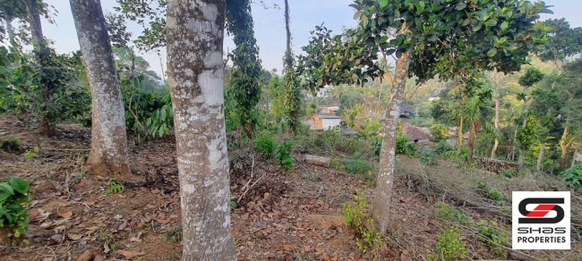Land for sale near Vythiri, Wayanad