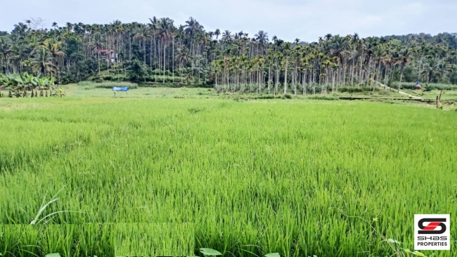 Plot for sale at Kenichira, Wayanad
