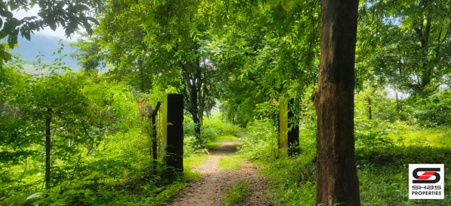 Resort land for sale near Malampuzha, Palakkad