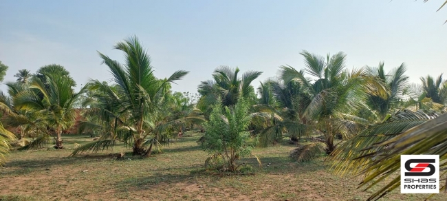 Farmland for sale in Eruthempathy, Palakkad