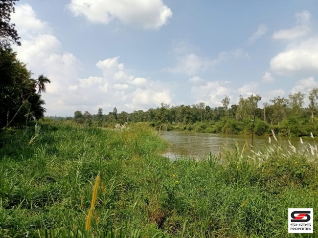 Farmland for sale in Pulpally, Wayanad
