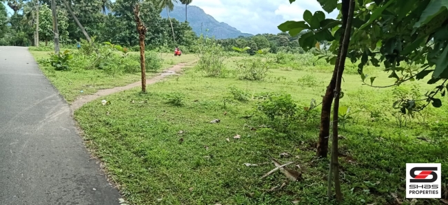Farmland for sale in Malampuzha, Palakkad