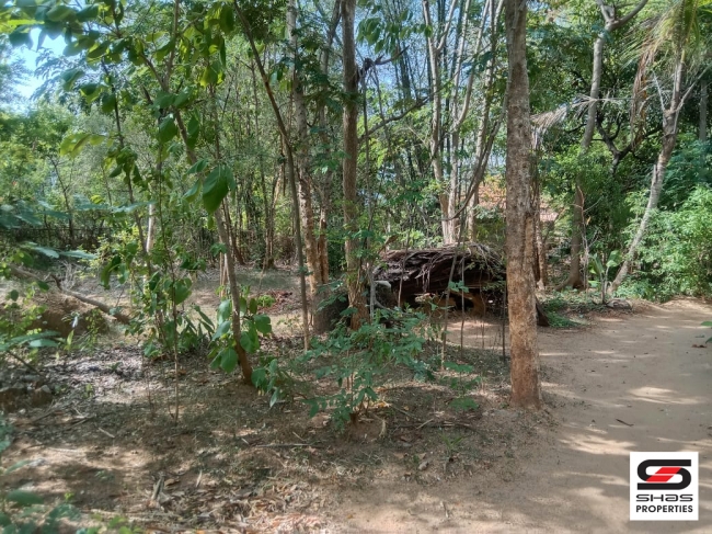27 Cent house plot for sale In Pallassana, Palakkad