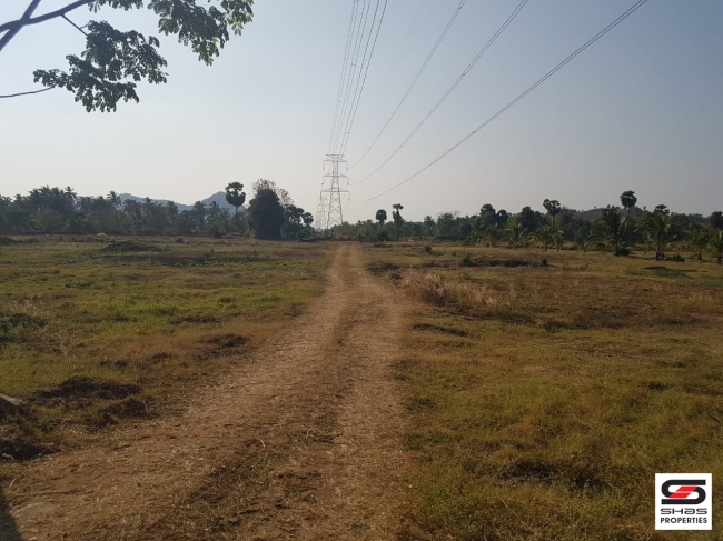 Farmland for Sale at Elevancherry, Palakkad