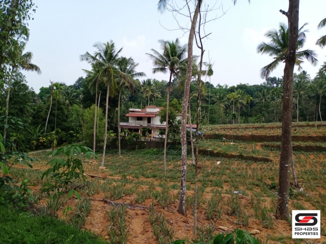 Land with house for sale in Paingottoor, Ernakulam