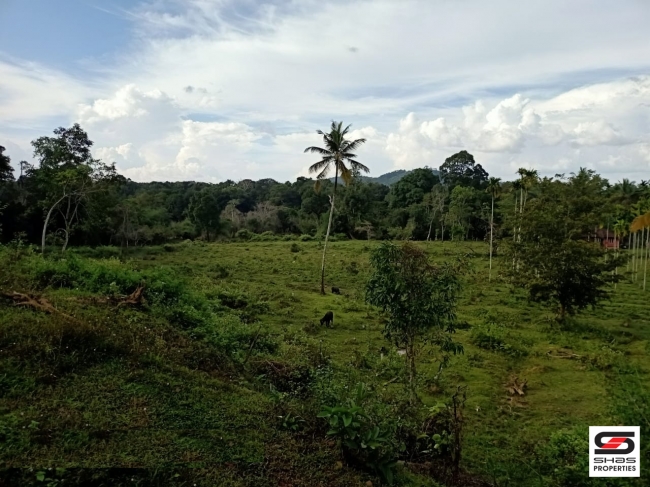 River view land for sale in Pulpally, Wayanad