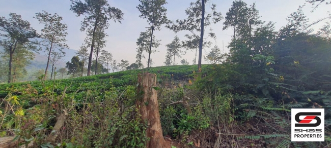 Land for sale near Vythiri, Wayanad