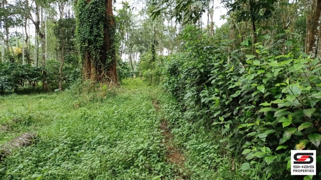 Plot for sale at Kenichira, Wayanad