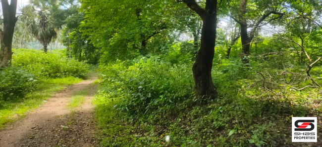 Resort land for sale near Malampuzha, Palakkad