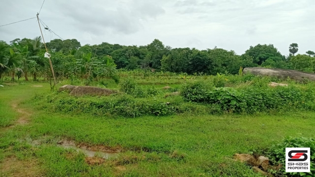 Farmland with farmhouse for sale at Pallassana, Palakkad