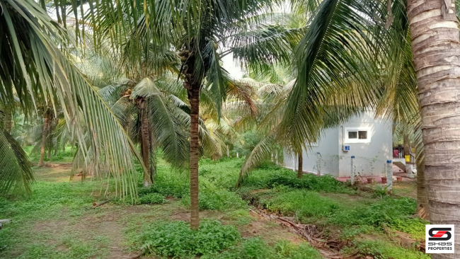 1 Acre farmland for sale in Ozhalapathy, Palakkad