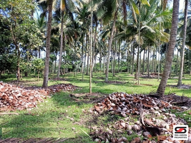Farmland for sale in Pulpally, Wayanad