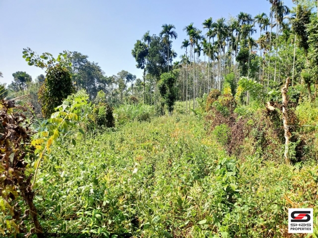 2 BHK House for sale at Sulthan Bathery, Wayanad