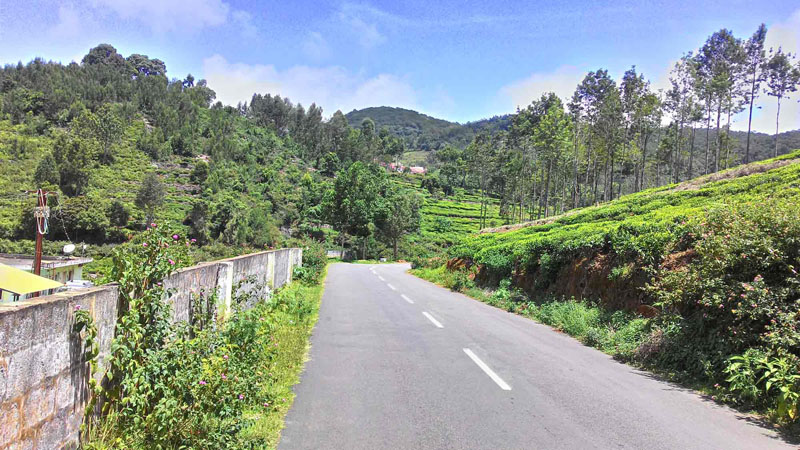 10 Acre Excellent Tea Estate For Sale In Aracode, Kil-Kotagiri, Ooty