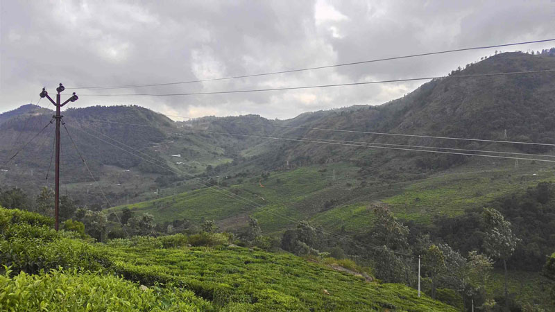 40 Acre Marvelous Tea Estate For Sale In Kotagiri, Ooty