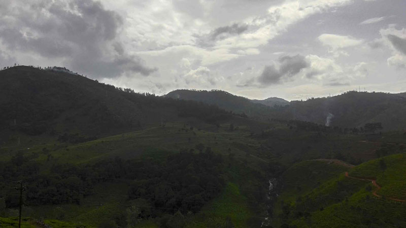 40 Acre Marvelous Tea Estate For Sale In Kotagiri, Ooty