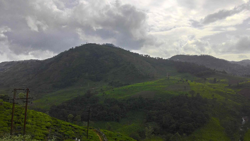 40 Acre Marvelous Tea Estate For Sale In Kotagiri, Ooty