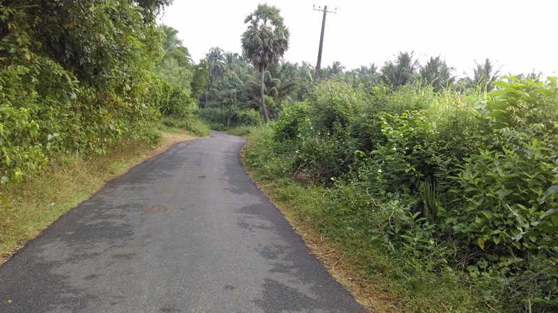 4 acre plainland in vannamada, palakkad