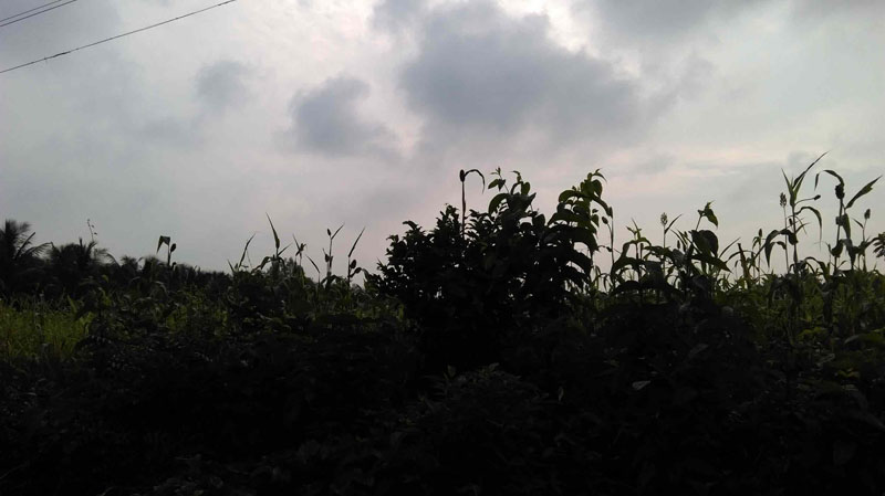 4 acre plainland in vannamada, palakkad