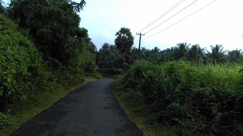 4 acre plainland in vannamada, palakkad