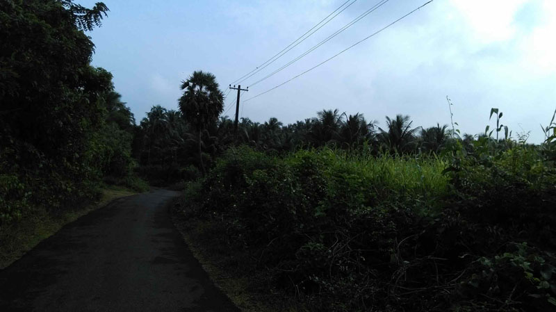 4 acre plainland in vannamada, palakkad