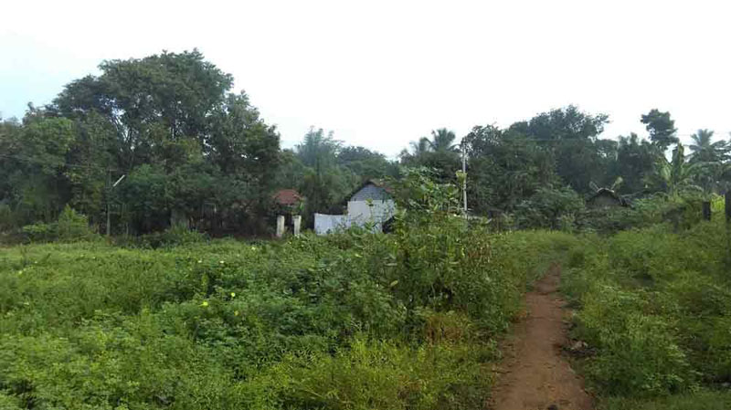 4 acre plain land near by Ahalia hospital, Palakkad