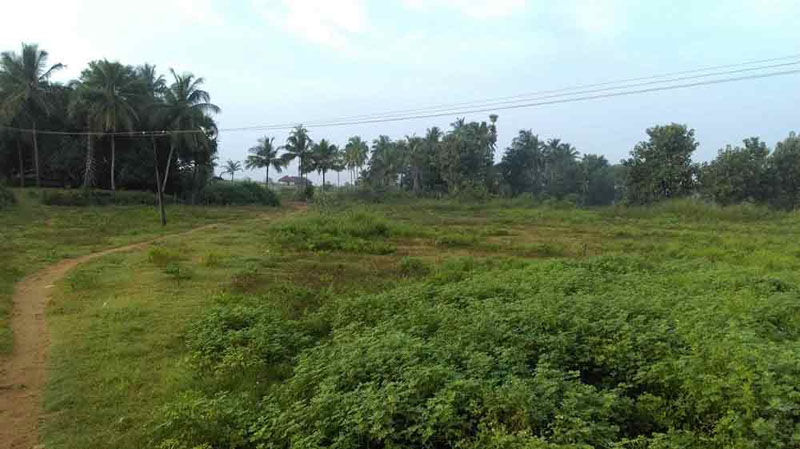4 acre plain land near by Ahalia hospital, Palakkad