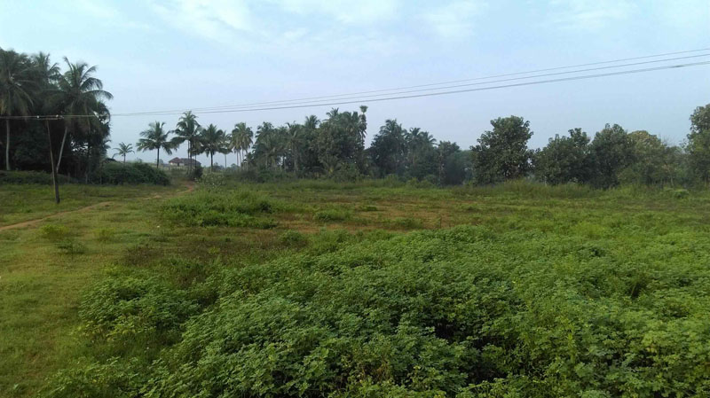 4 acre plain land near by Ahalia hospital, Palakkad