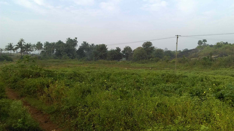 4 acre plain land near by Ahalia hospital, Palakkad