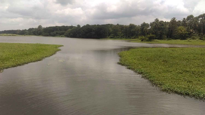 Beautiful riverside 60 cent land for sale in Thirunellayi, Palakkad