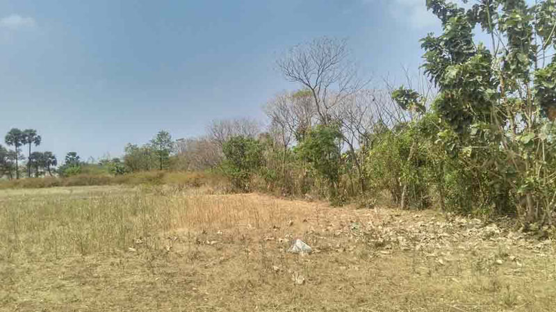 Beautiful 2.30 acre of plain land in Kozhinjampara, Palakkad