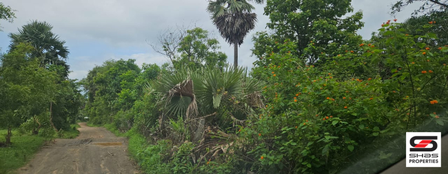 Industrial land for sale in Kozhinjampara, Palakkad