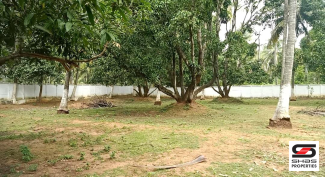 Farmland  for sale in Kozhinjampara, Palakkad