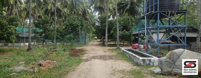 Agricultural land for sale in Chamanapathy, Palakkad