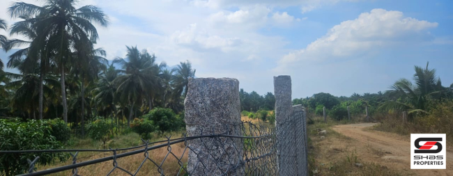 Farmland for sale in Chamanapathy, Palakkad